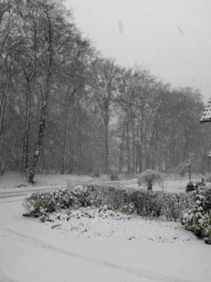 Anna'S B&B Rijssen Bagian luar foto